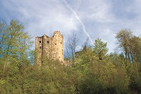 Ein Blick auf die Burg Laubenberg-Stein im Allgäu